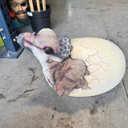 Triceratops Dinosaur Egg Hatching Statue