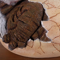 Triceratops Dinosaur Egg Hatching Statue - LM Treasures 