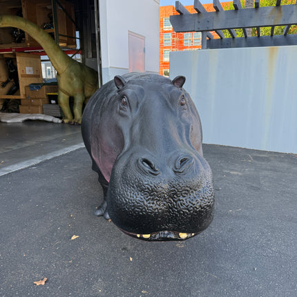 Hippo Life Size Statue