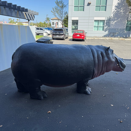 Hippo Life Size Statue