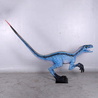 Blue Deinonychus Dinosaur Life Size Statue