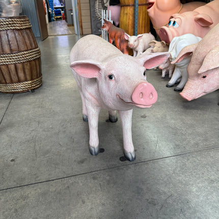 Baby Pig Standing Life Size Statue