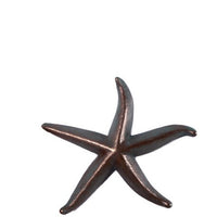 Jumbo Bronze Starfish Statue - LM Treasures 