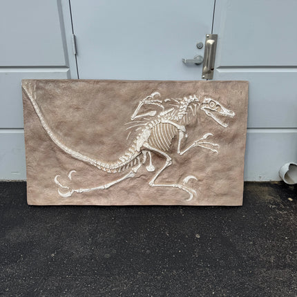 Velociraptor Dinosaur Fossil Life Size Statue LM Treasures - H