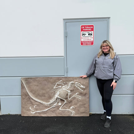 Velociraptor Dinosaur Fossil Life Size Statue LM Treasures - H