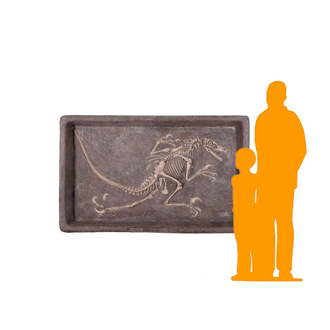 Velociraptor Dinosaur Fossil Dig Life Size Statue LM Treasures - H