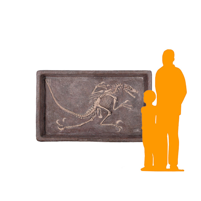 Velociraptor Dinosaur Fossil Dig Life Size Statue