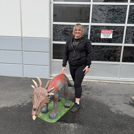 Baby Triceratops on Base Dinosaur Statue