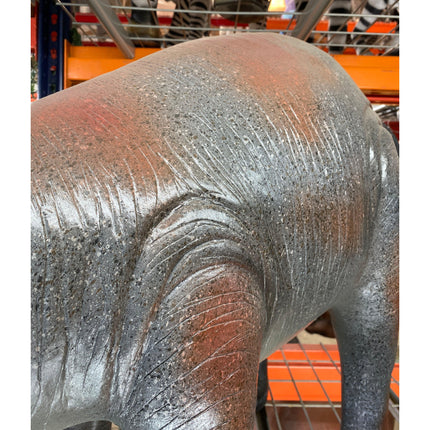 Baby Triceratops Dinosaur Statue - LM Treasures 