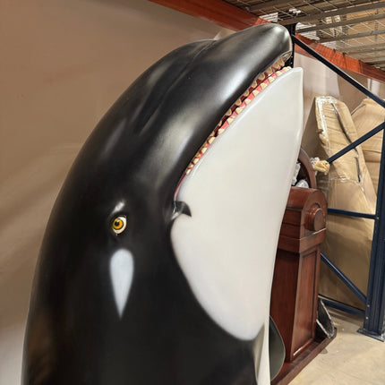 Breaching Killer Whale Orca Life Size Statue LM Treasures - H