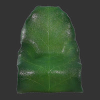 Leaf Chair Life Size Statue - LM Treasures 