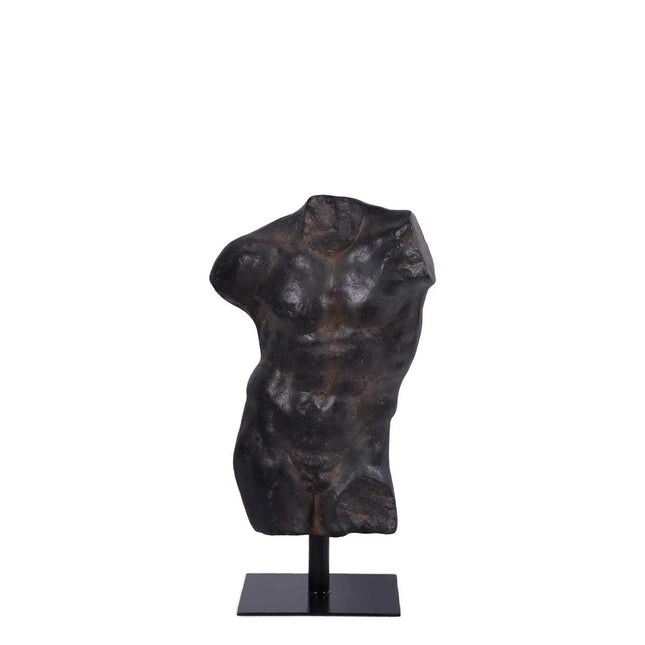 Aged Black Finish Andrea Male Torso Life Size Statue LM Treasures - H