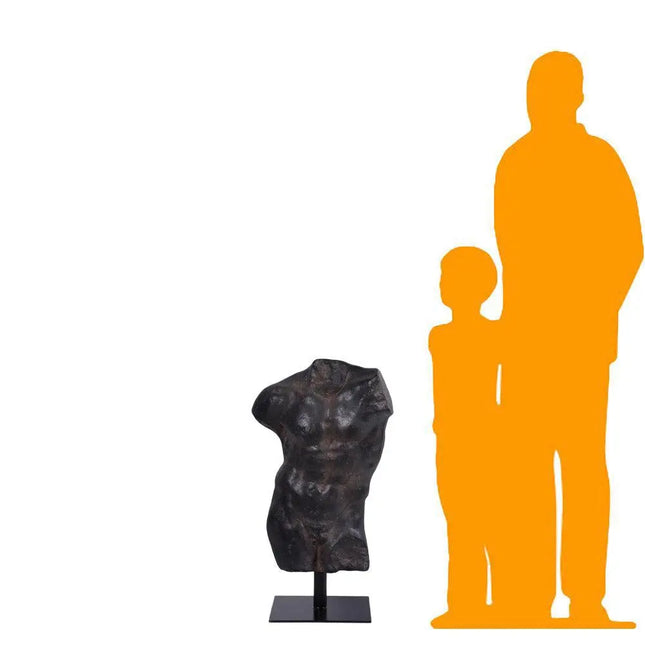 Aged Black Finish Andrea Male Torso Life Size Statue LM Treasures - H