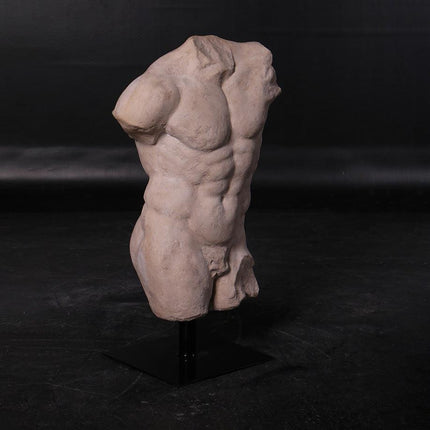 Andrea Male Torso Life Size Statue