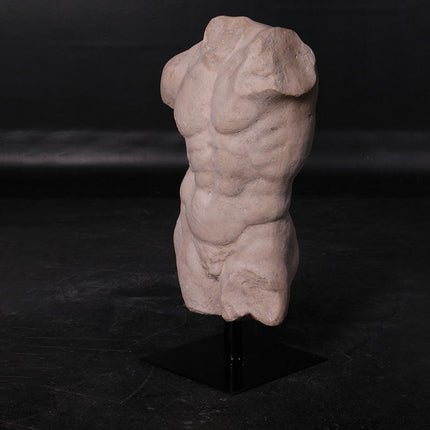Andrea Male Torso Life Size Statue