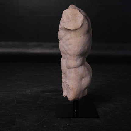 Andrea Male Torso Life Size Statue