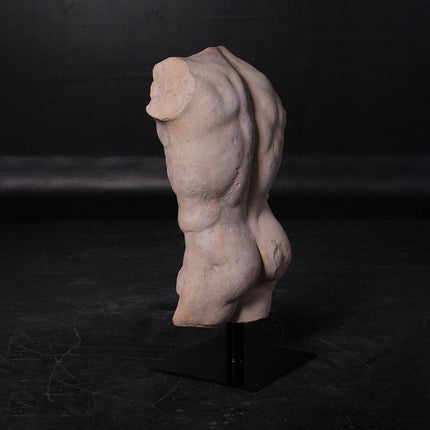 Andrea Male Torso Life Size Statue