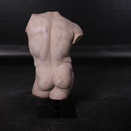 Andrea Male Torso Life Size Statue