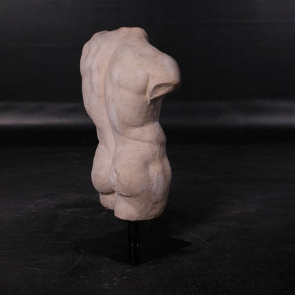 Andrea Male Torso Life Size Statue