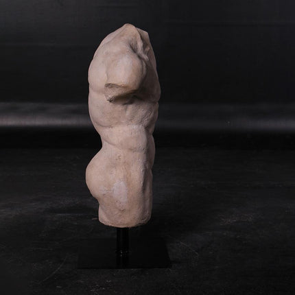 Andrea Male Torso Life Size Statue