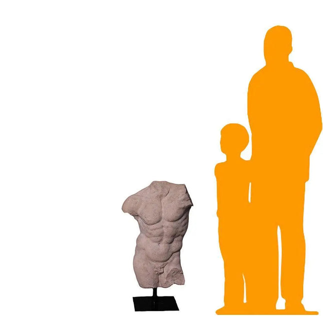 Andrea Male Torso Life Size Statue LM Treasures - H