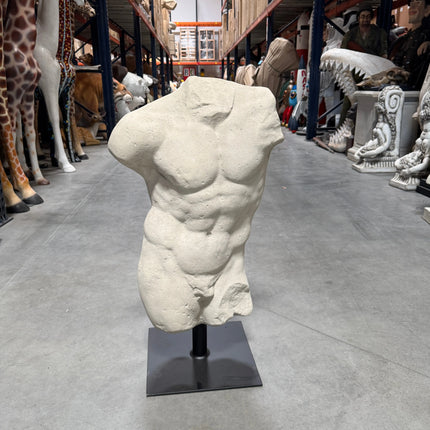 Andrea Male Torso Life Size Statue LM Treasures - H