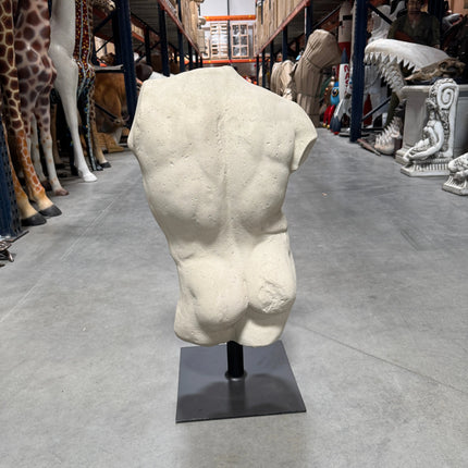 Andrea Male Torso Life Size Statue LM Treasures - H