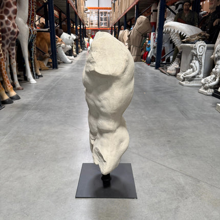 Andrea Male Torso Life Size Statue LM Treasures - H