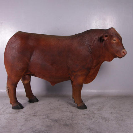 Angus Bull Life Size Statue