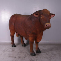 Angus Bull Life Size Statue - LM Treasures 