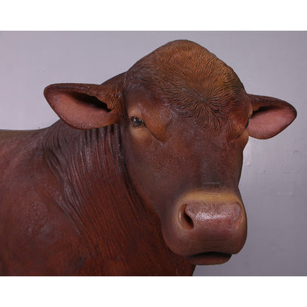 Angus Bull Life Size Statue - LM Treasures 