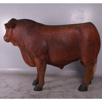 Angus Bull Life Size Statue - LM Treasures 