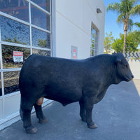 Black Angus Bull Life Size Statue - LM Treasures 