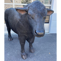 Black Angus Bull Life Size Statue - LM Treasures 