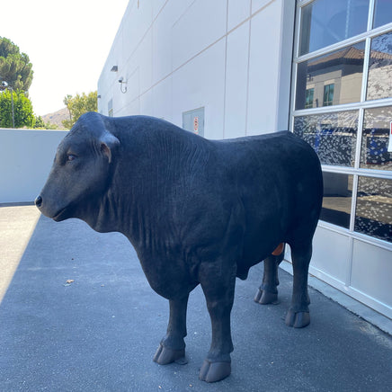 Black Angus Bull Life Size Statue - LM Treasures 