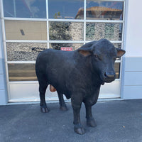 Black Angus Bull Life Size Statue - LM Treasures 