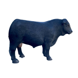 Black Angus Bull Life Size Statue - LM Treasures 