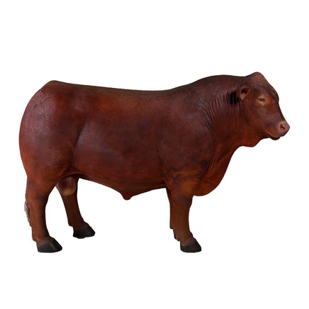 Angus Bull Life Size Statue - LM Treasures 