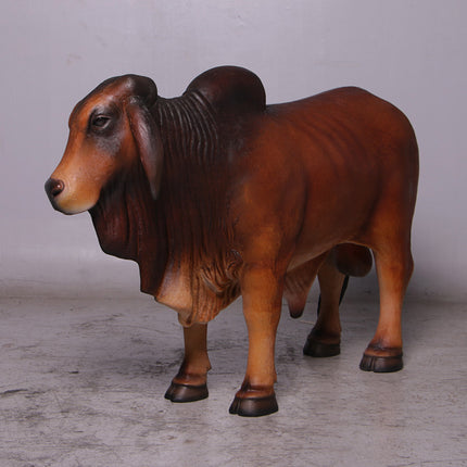 Brown Young Brahman Bull Statue