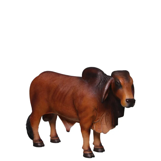 Brown Young Brahman Bull Statue LM Treasures - H