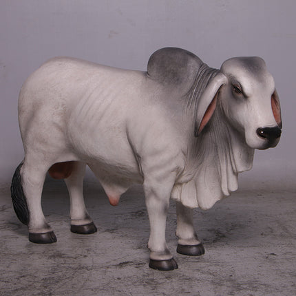 Gray Young Brahman Bull Statue