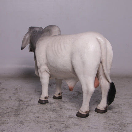 Gray Young Brahman Bull Statue