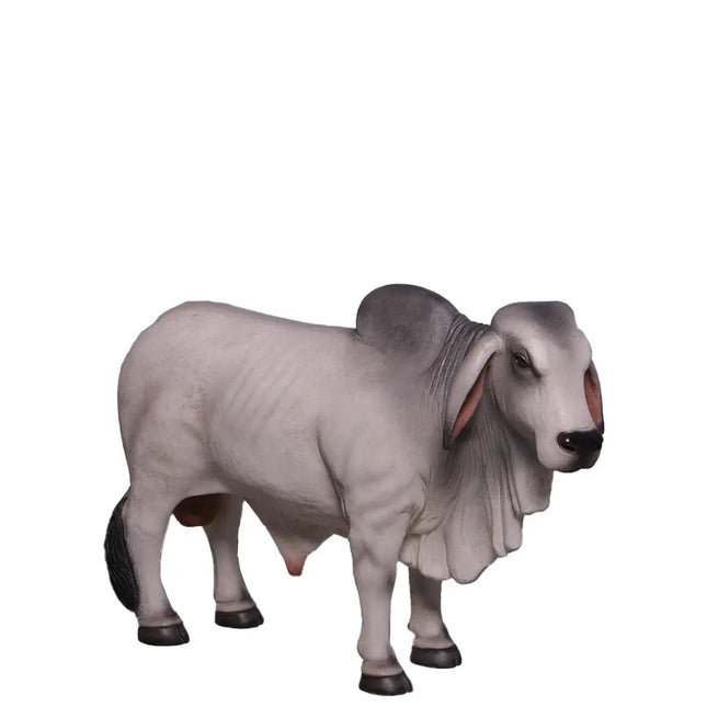 Gray Young Brahman Bull Statue LM Treasures - H