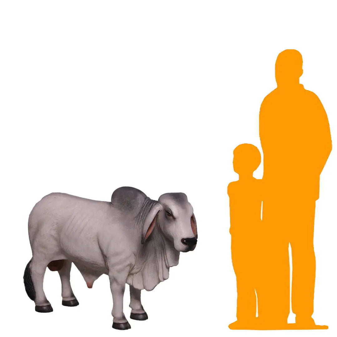 Brahman Bull Young Gray Cow Life Size Statue LM Treasures LM Treasures brahman-bull-young-gray-cow-life-size-statue-lm-treasures-lm-treasures
