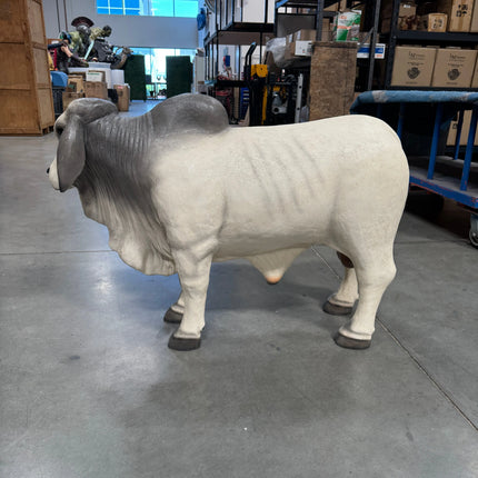 Gray Young Brahman Bull Statue LM Treasures - H