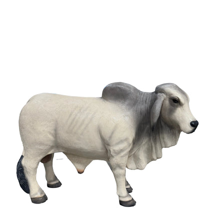 Gray Young Brahman Bull Statue LM Treasures - H