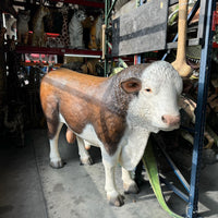 Hereford Bull Life Size Statue - LM Treasures 