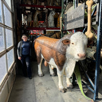Hereford Bull Life Size Statue - LM Treasures 
