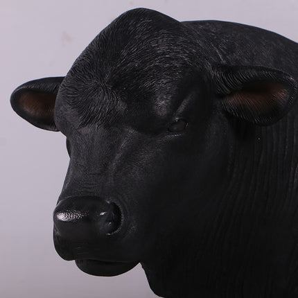 Black Young Angus Bull Looking Left Statue