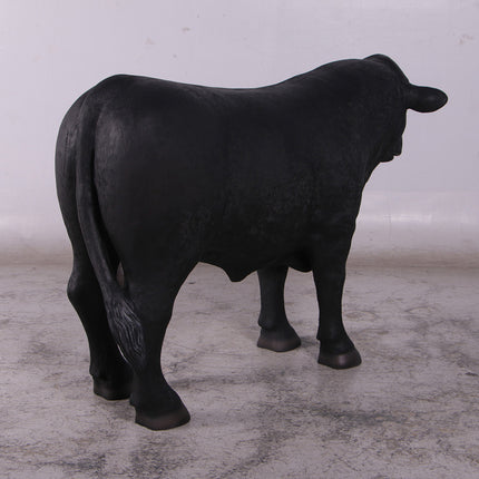 Black Young Angus Bull Looking Left Statue
